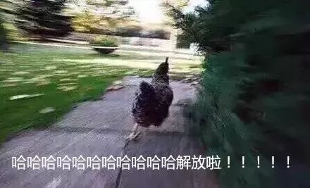 高考作文未来2035年遇上全国ii卷我本该灿烂过一生