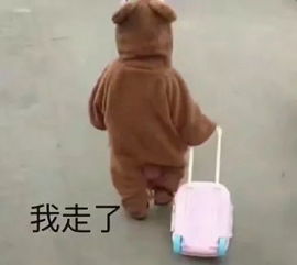 五五身的沈月靠这一招比173的关晓彤还显高