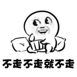 以后不在打扰你表情包