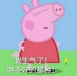 小懒猪表情包表情包