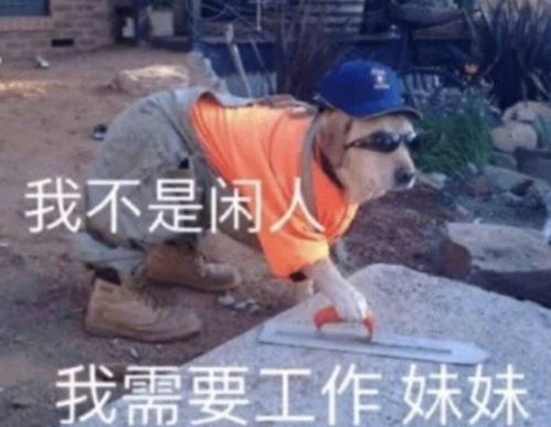 有哪些让人熬夜也要看完的言情小说