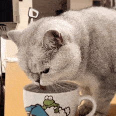 聊天表情包动态猫狗表情包59