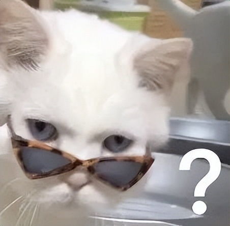 猜张柏芝三娃爹是谁,就像是一场集体潜意识的荡妇羞辱