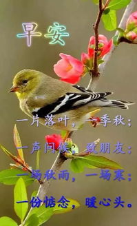 8月31日周六群发早上好问候祝福动态表情图片最美早晨好问候表情动态图片