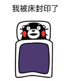 古风宿舍火了,武汉工科男花800块,把宿舍改造成竹院网友我这就回去改