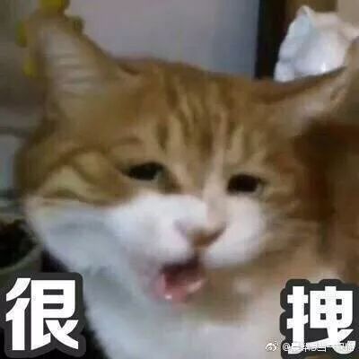 奇葩丨喝酒庆祝拿驾照,昨天拿证,今天吊销,呵呵呵