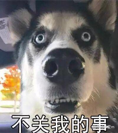 买收藏夹