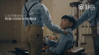 还记得我们的表情包咕咕宋民国吗他和他的兄弟们都长大啦