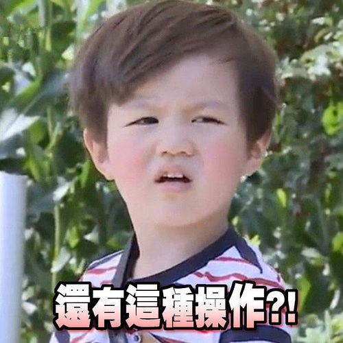 贡献表情包流量慎入