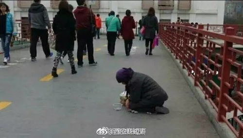 有奖互动丨遇见假乞讨,你会怎么办