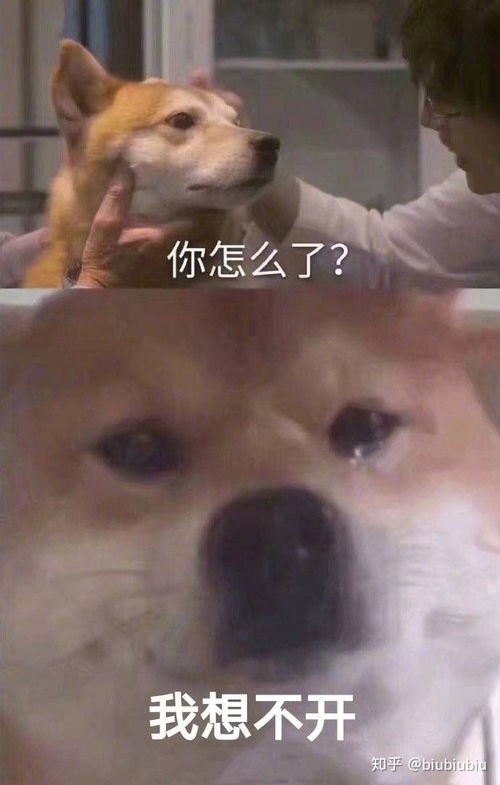 如果你有屎急需要拉,你会选择跑着去厕所还是走着去厕所很急的情况