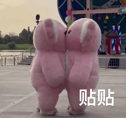 wan表情包我的小熊饼干