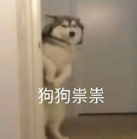 你去香港排队买保险的样子,成功引起了我的注意