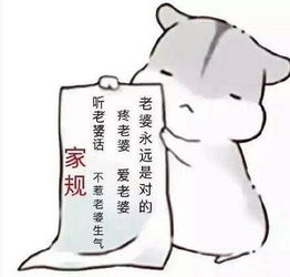 叫老公起床表情包仓鼠