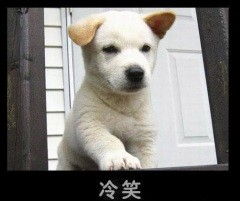 小可爱们shuangshans的时尚图片