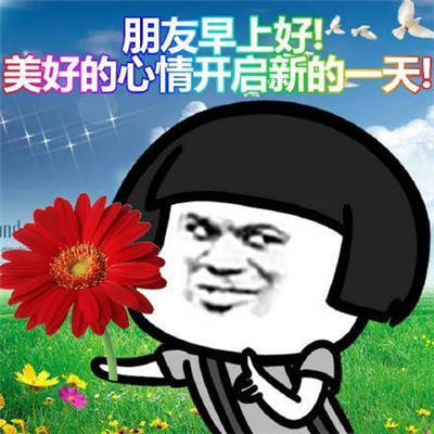 早上好表情包 萌萌早安