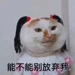 吃饺子的表情包沙雕