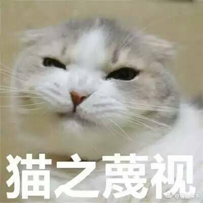 林依晨相比郑爽差了什么