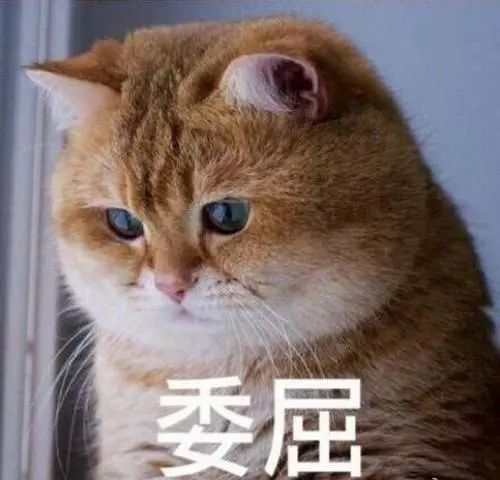 各种表情的含义和图解微笑