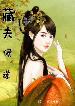 藏夫候选
