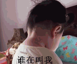 多图预警超萌表情包要不要