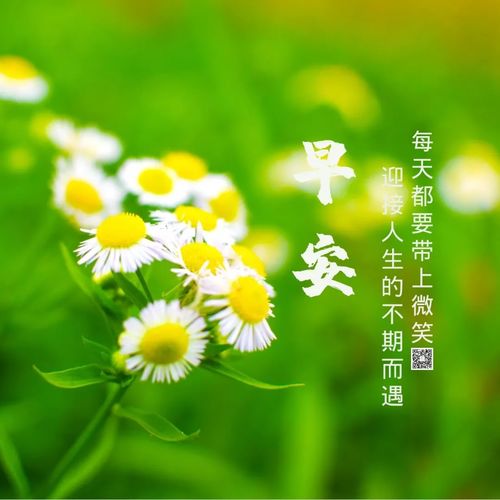2021特别漂亮的早上好图片,每日最新早安图片