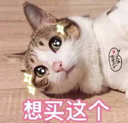 开心麻花莎士比亚别生气卡司阵容大曝光9月27日28日约起来吧