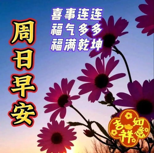 2024年6月23日农历五月十八祝福图片星期日最新问候美图周末愉快