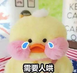 你哭着对我说,童话里都是骗人的