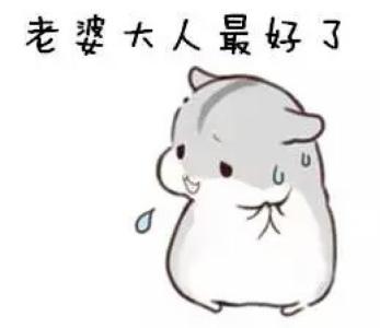 哄老婆表情包老婆大人对不起好喜欢老婆我老婆超级可爱