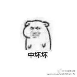 各种各样的坏坏表情包2