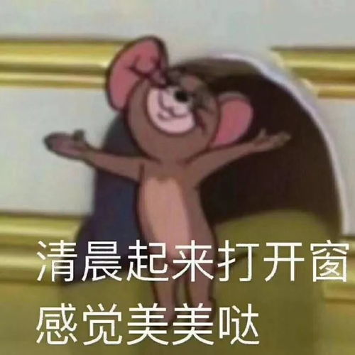 救命表情包图片与我争锋