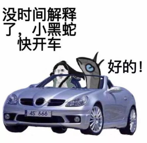 全体成员,纳新大战,你pick谁