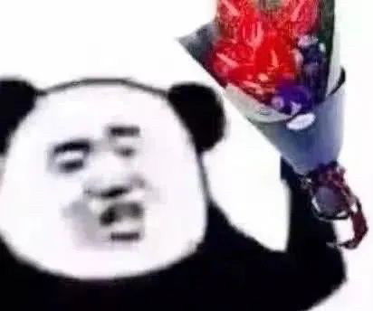 太阳起了我不起老子就是了不起