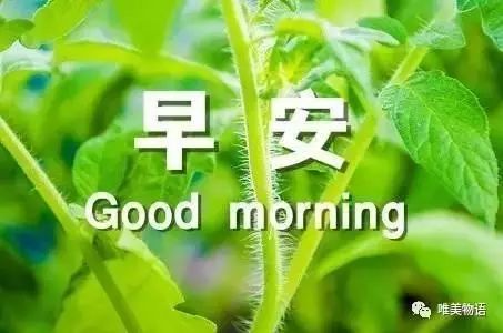 早安问候语每日更新微信早安问候语简短