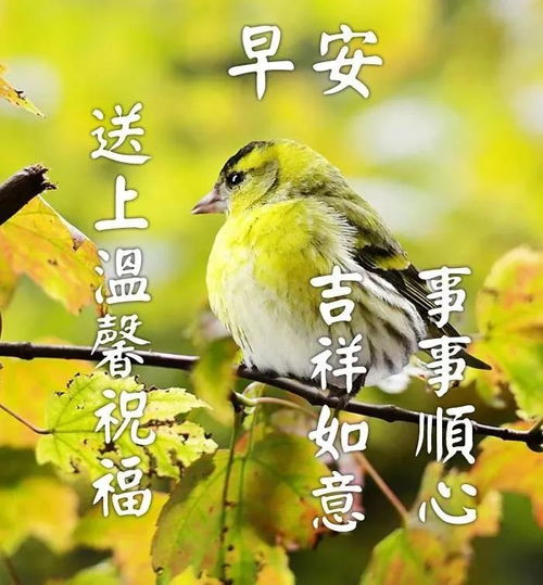 3月10日周三早安问候语,祝大家天天都有好心情