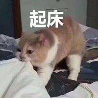 孩子们该起床了表情包微信头像图片大全
