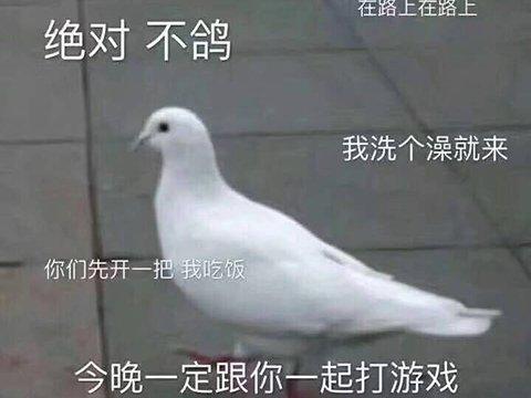 钱这么好赚这游戏光加载进图就要10分钟,还敢在steam卖300元