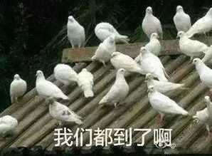 熊孩子作死把头卡进公园雕塑被救出网友父母要赔雕塑损失费