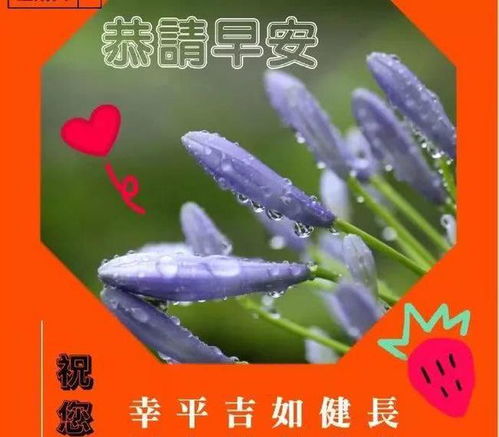 新的一周早上好问候语句子和图片中老年人早晨祝福表情包