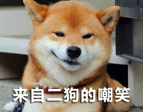 得意洋洋的表情包图片