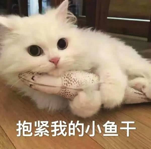 表情包我们一起颤抖,会更明白什么是温柔