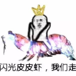 皮皮虾又被我们玩坏了我的校园说