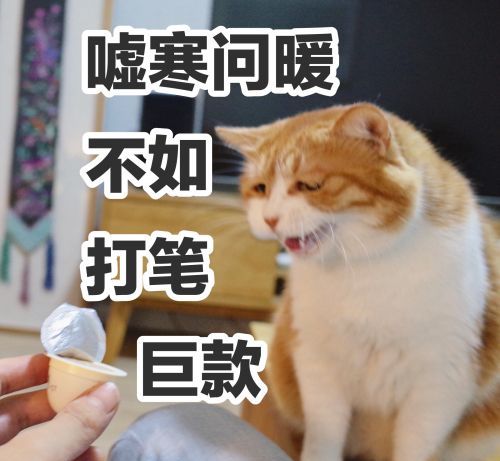 创造最酷炫户型,一间房的十种装法