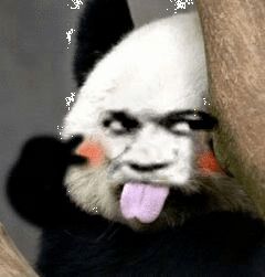 西商就秘招贤令