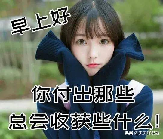 最新漂亮好看的鲜花早上好问候动态图片12月唯美冬日早上好问候语