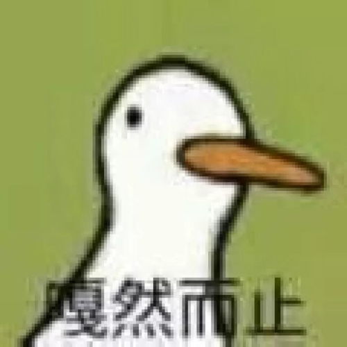 是谁在偷看你