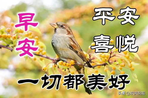 微信群发朋友圈的暖心的早安问候语动态表情图片