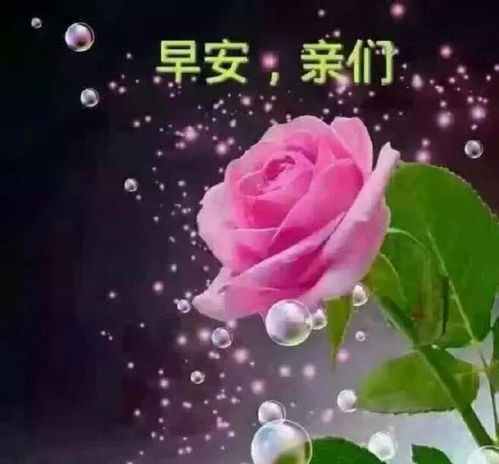 我送你一颗忘忧草,再为你逮只幸福鸟,愿你快乐幸福,早上好