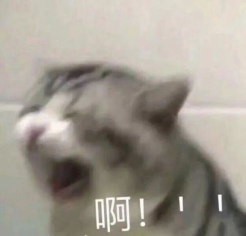 哄女朋友表情包赶紧存起来